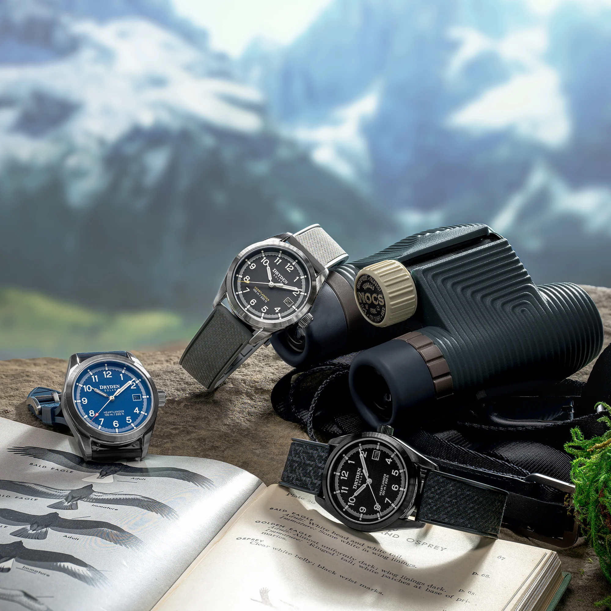 Dryden Watch Company Free US Shipping