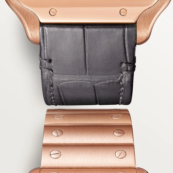 Cartier Часы Santos de Cartier