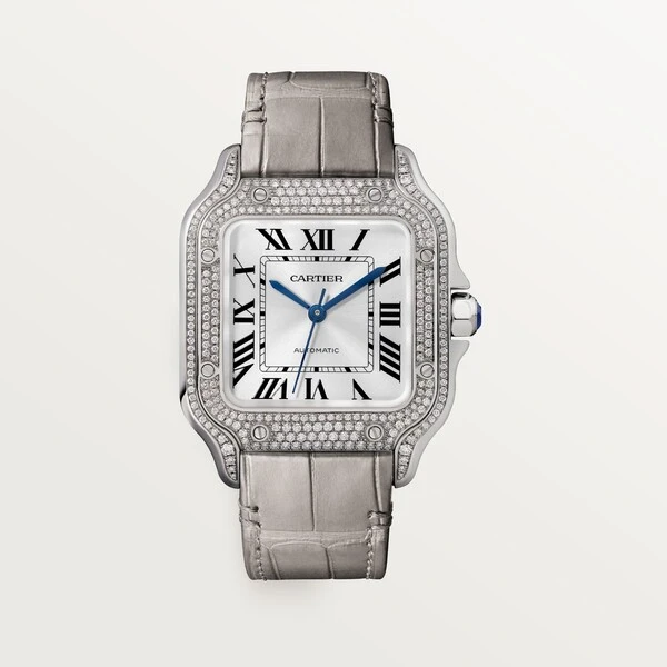 Cartier Часы Santos de Cartier