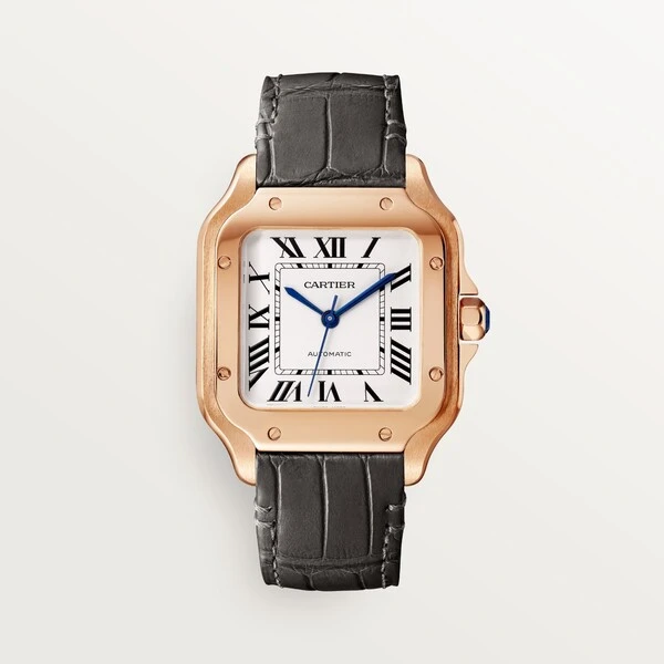 Cartier Часы Santos de Cartier