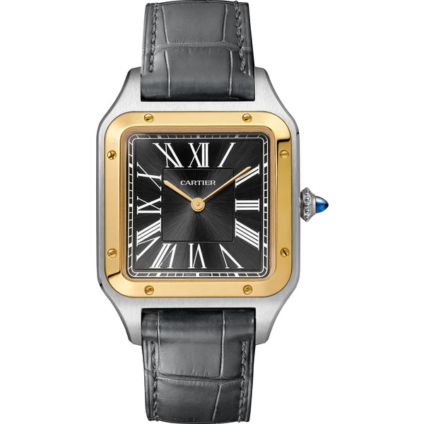 Cartier Часы Santos-Dumont