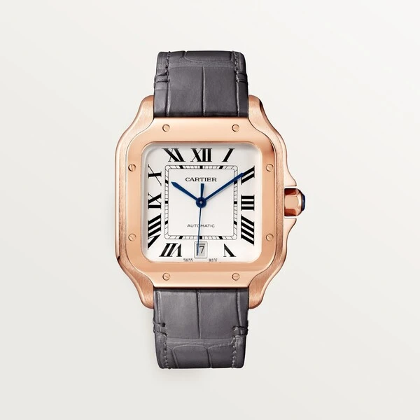 Cartier Часы Santos de Cartier