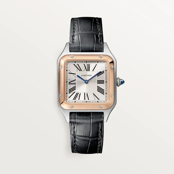 Cartier Часы Santos-Dumont