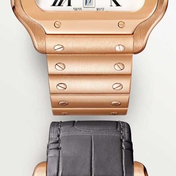 Cartier Часы Santos de Cartier
